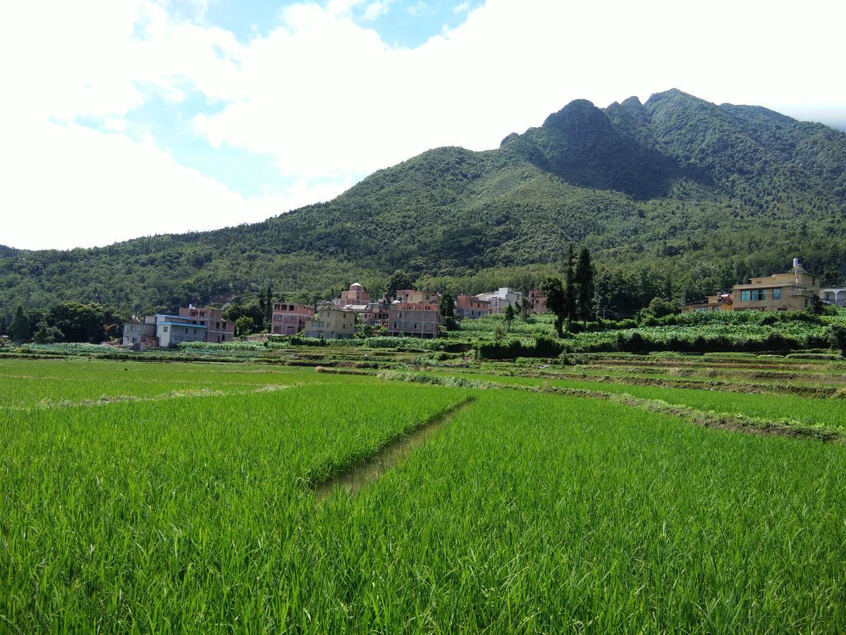 Belinda Backpackers Guesthouse หยวนหยาง ภายนอก รูปภาพ